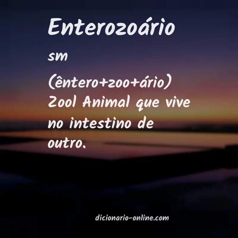 Significado de enterozoário
