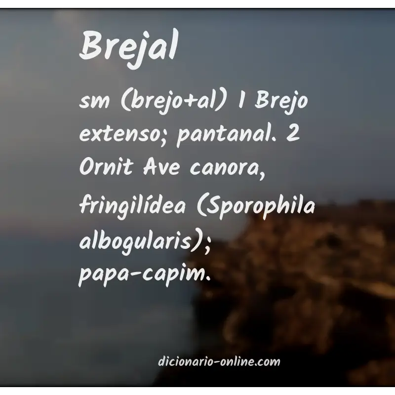 Significado de brejal