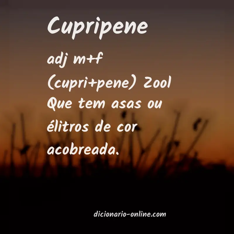 Significado de cupripene