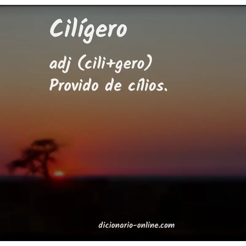 Significado de cilígero