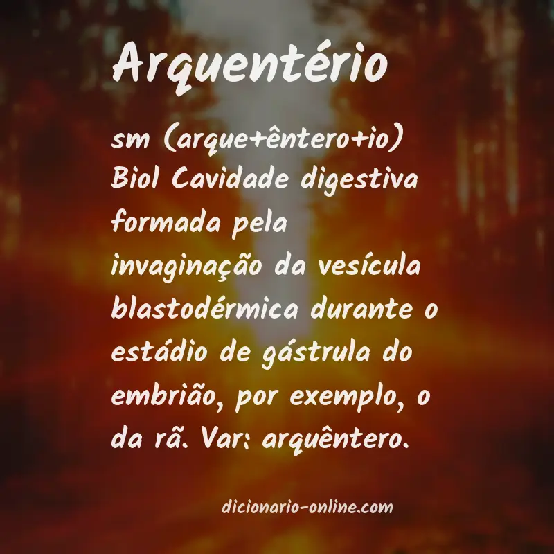 Significado de arquentério