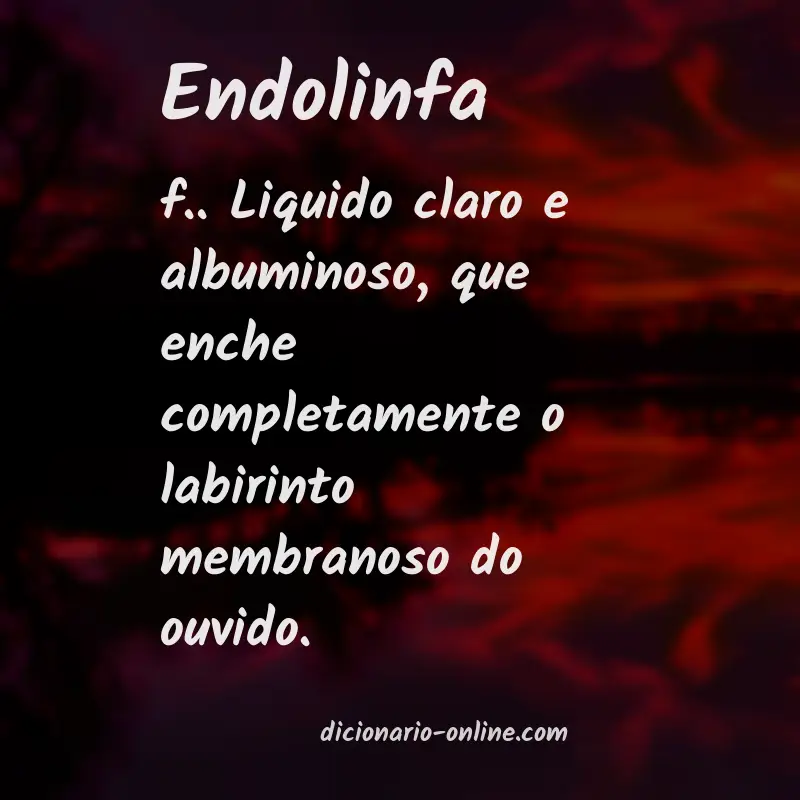 Significado de endolinfa