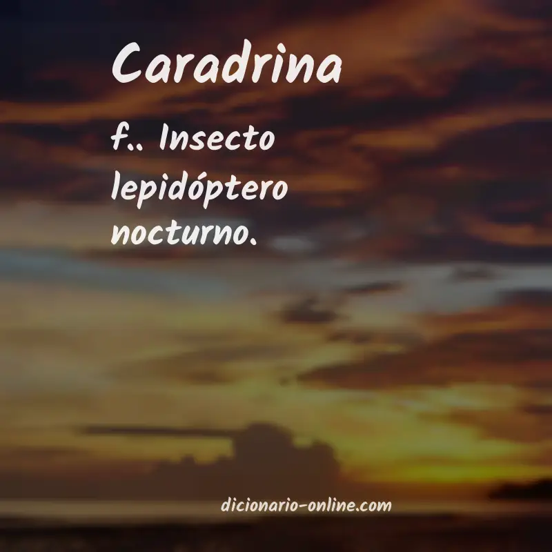 Significado de caradrina