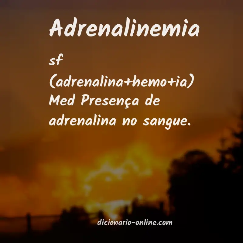 Significado de adrenalinemia