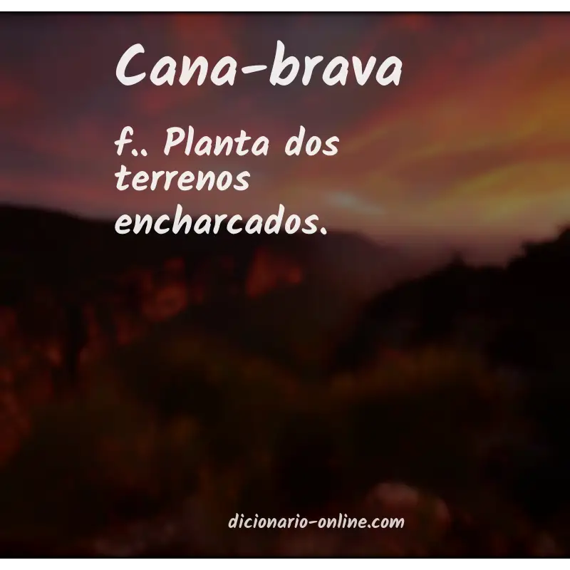 Significado de cana-brava