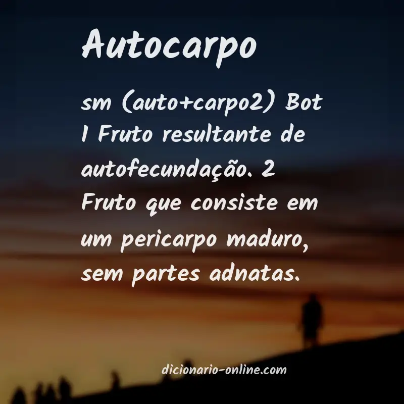 Significado de autocarpo