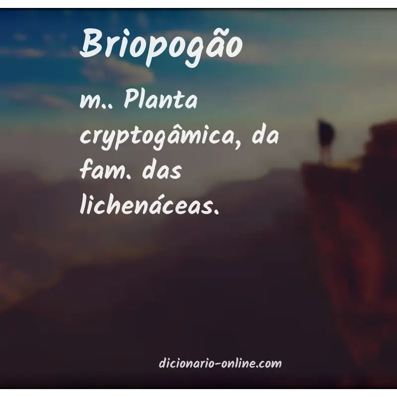 Significado de briopogão