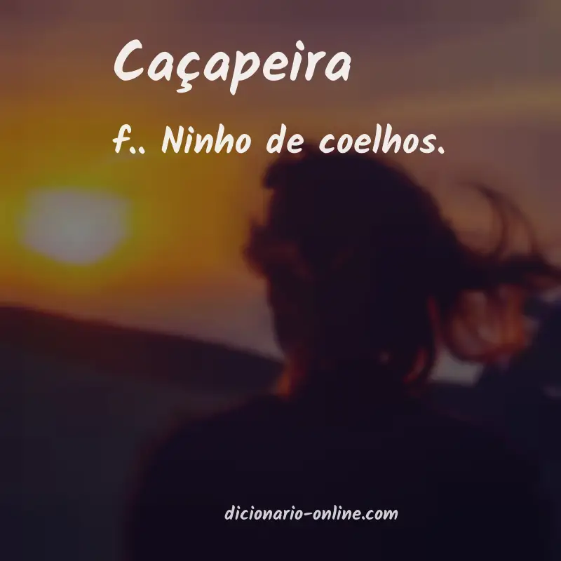 Significado de caçapeira