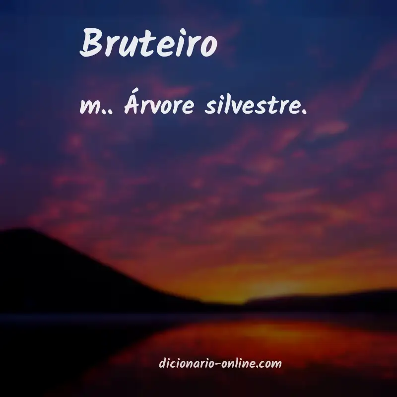 Significado de bruteiro