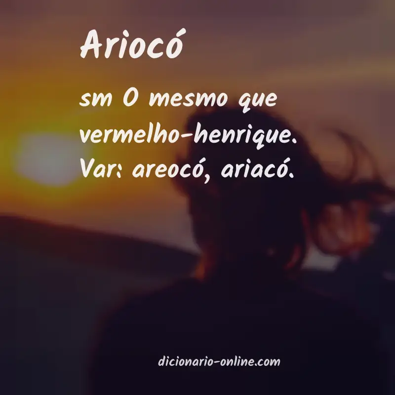 Significado de ariocó