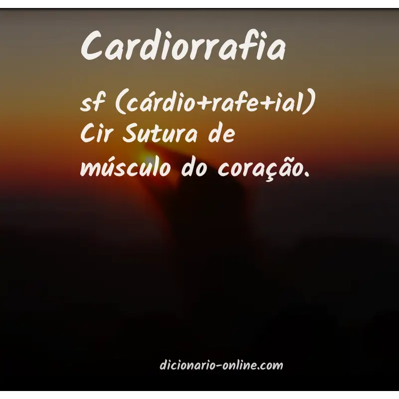 Significado de cardiorrafia