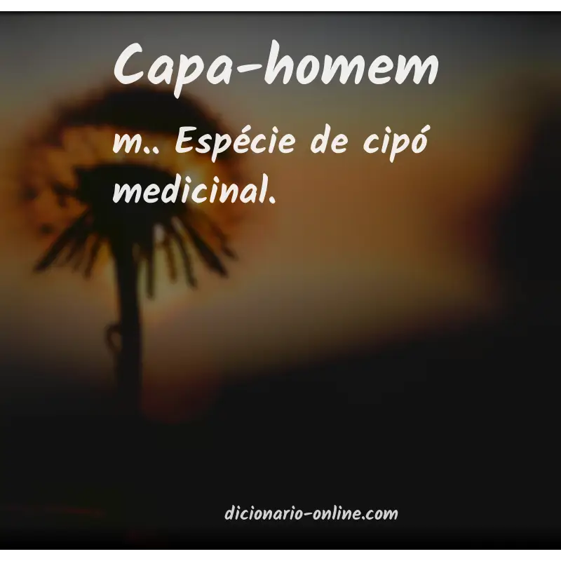 Significado de capa-homem