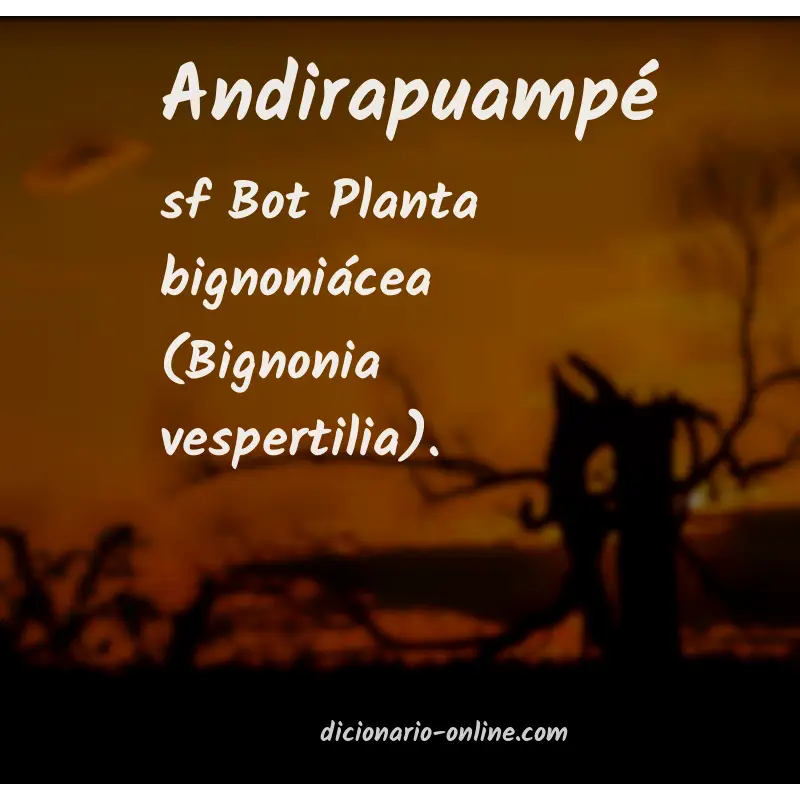 Significado de andirapuampé