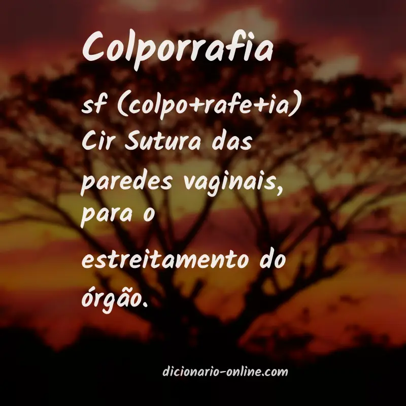 Significado de colporrafia