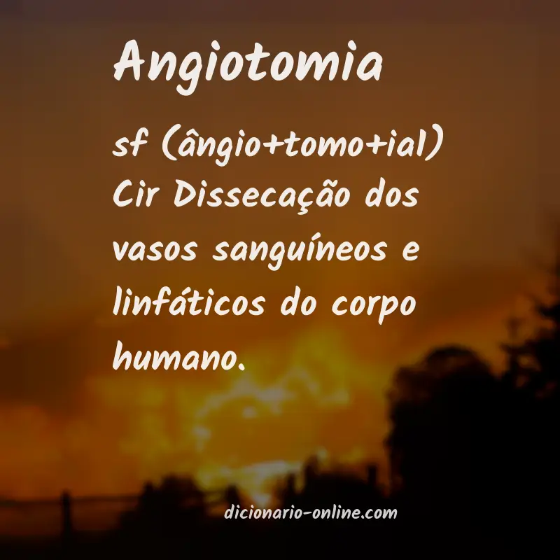 Significado de angiotomia