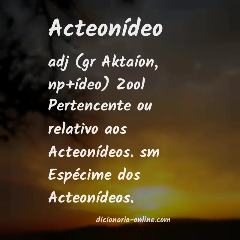 Significado de acteonídeo