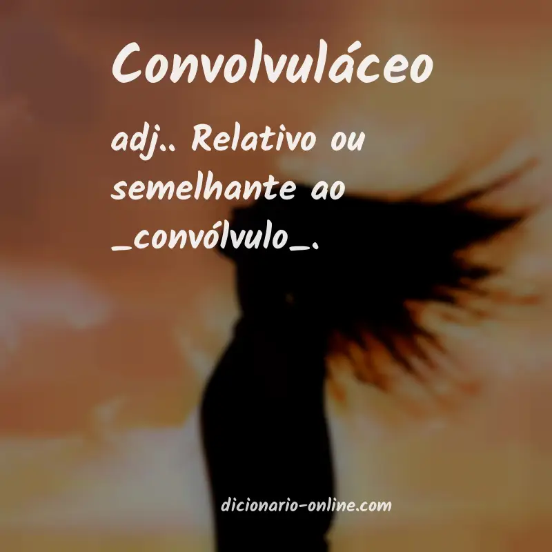 Significado de convolvuláceo
