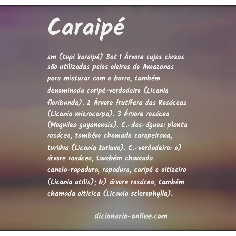 Significado de caraipé