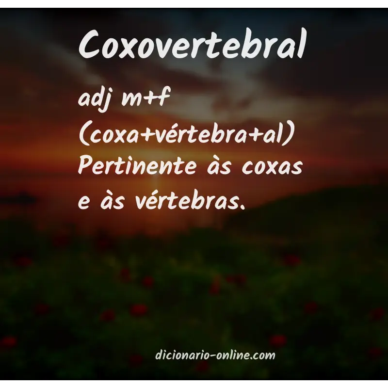 Significado de coxovertebral