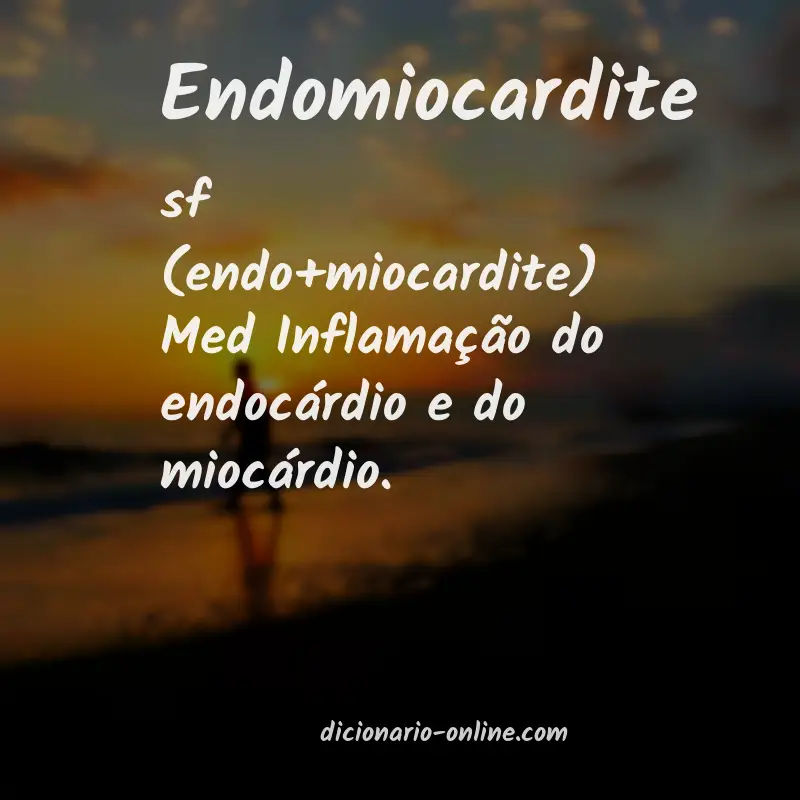 Significado de endomiocardite