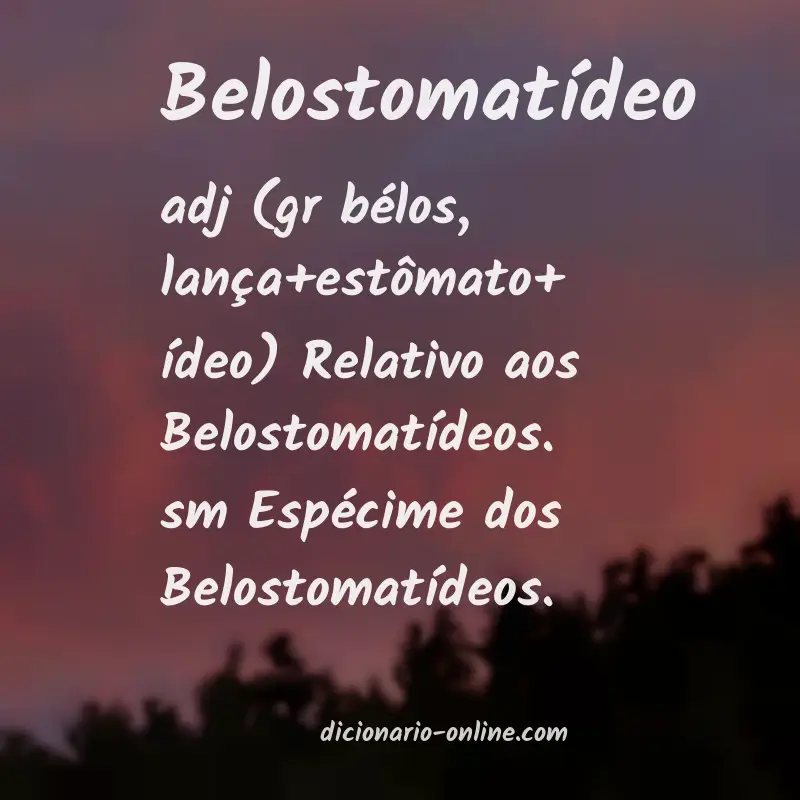 Significado de belostomatídeo
