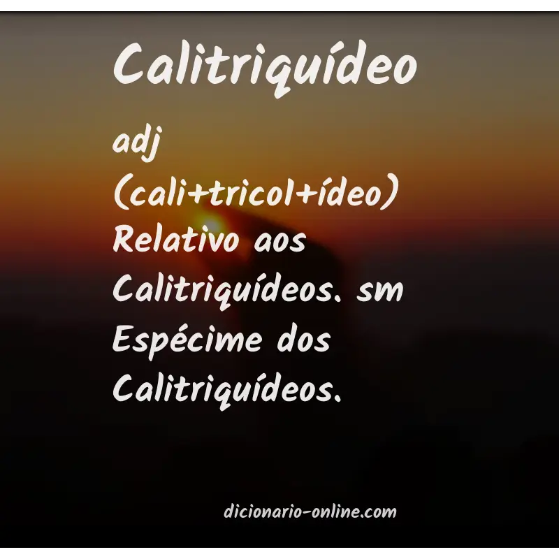 Significado de calitriquídeo
