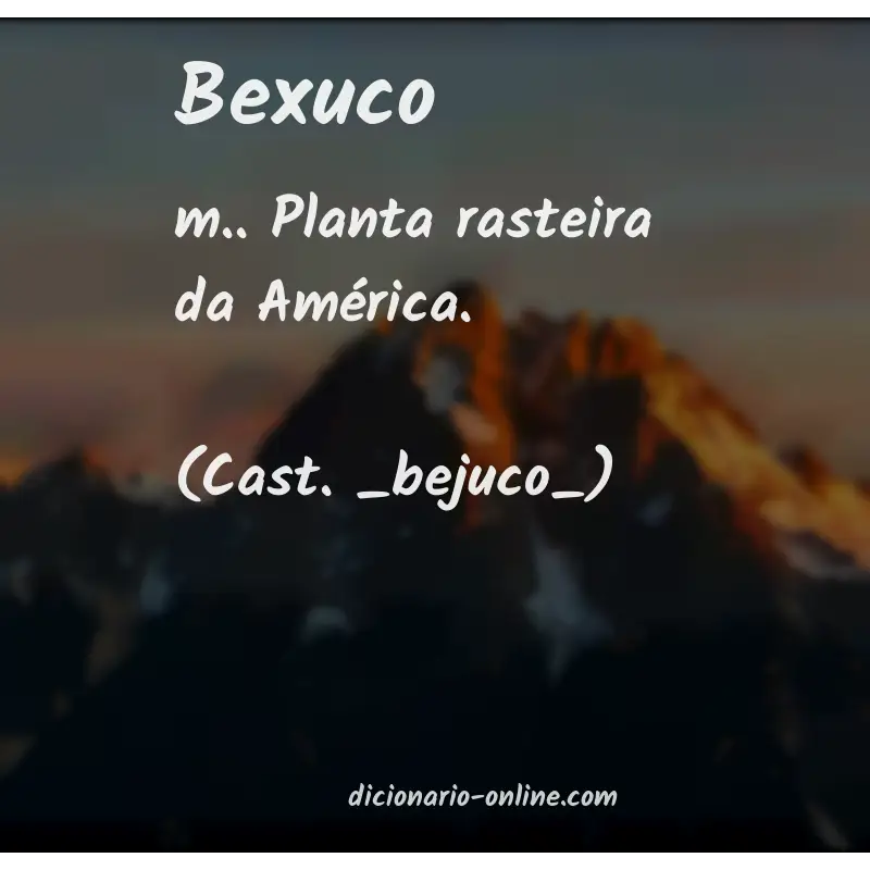 Significado de bexuco