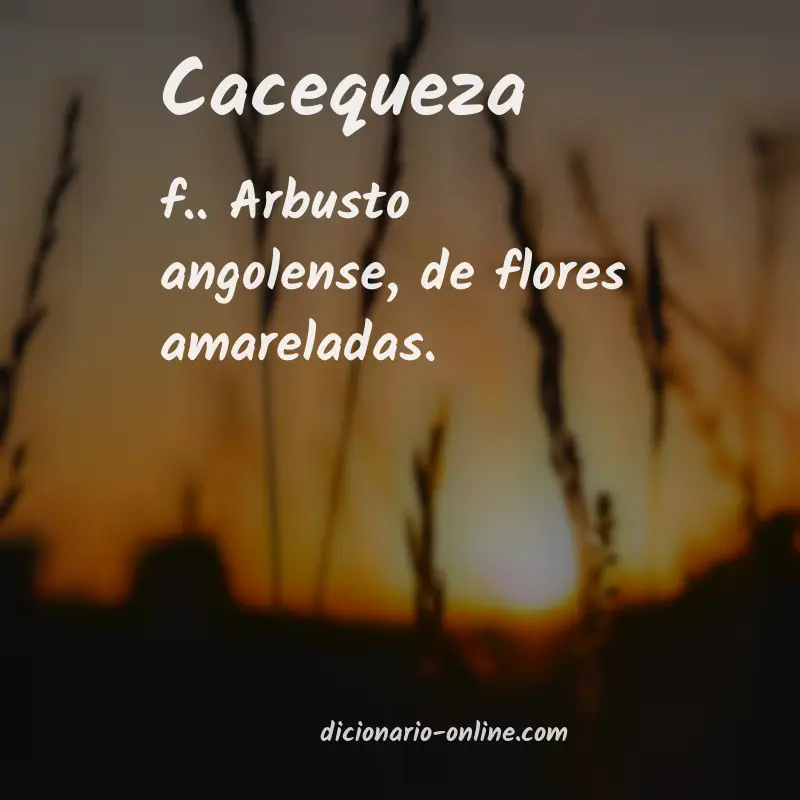 Significado de cacequeza