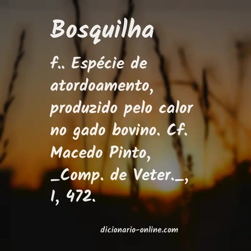 Significado de bosquilha