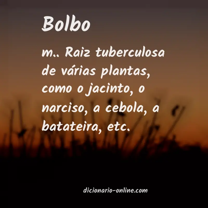 Significado de bolbo