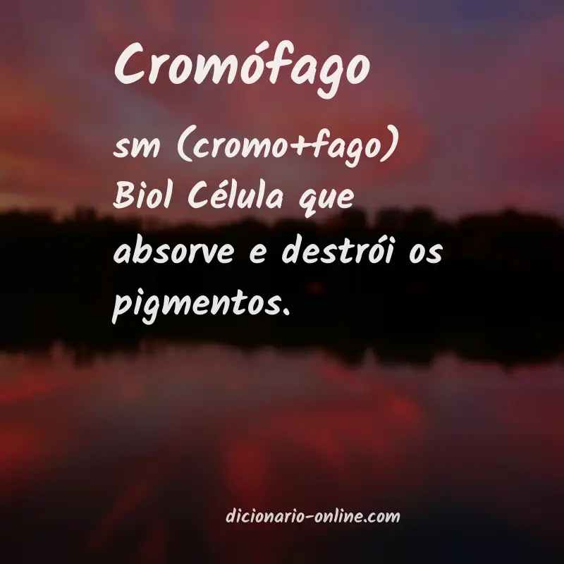 Significado de cromófago