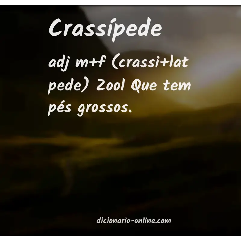 Significado de crassípede