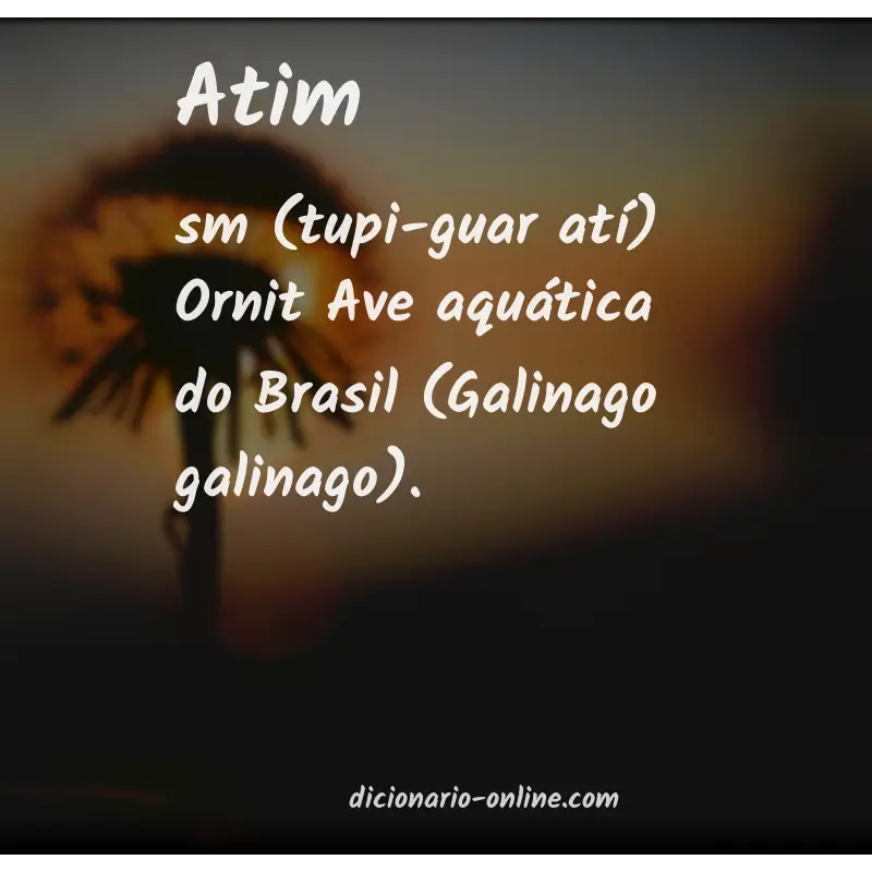 Significado de atim