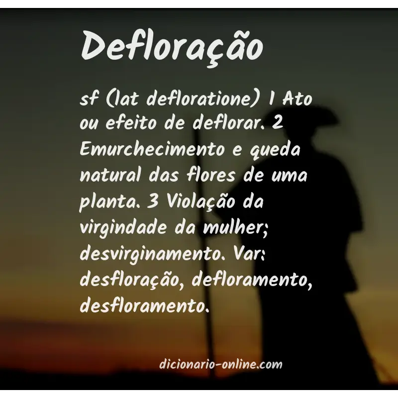 Significado de defloração