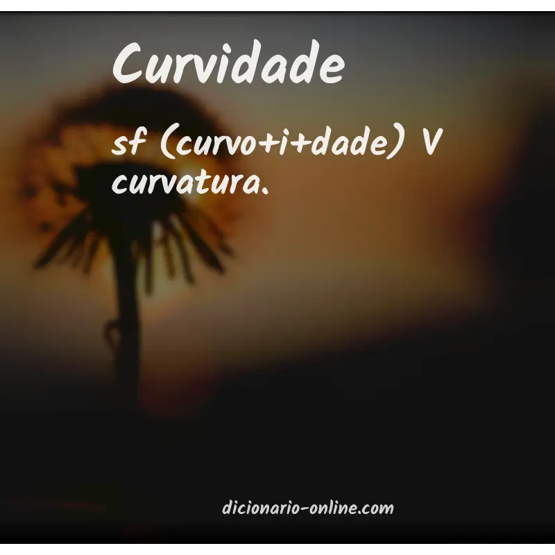 Significado de curvidade