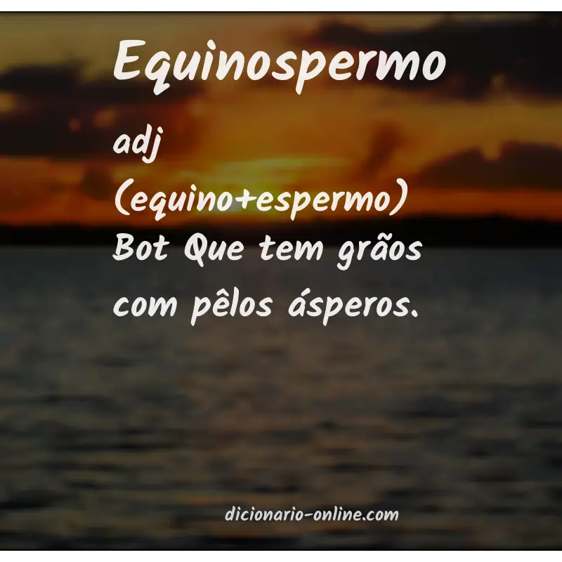 Significado de equinospermo