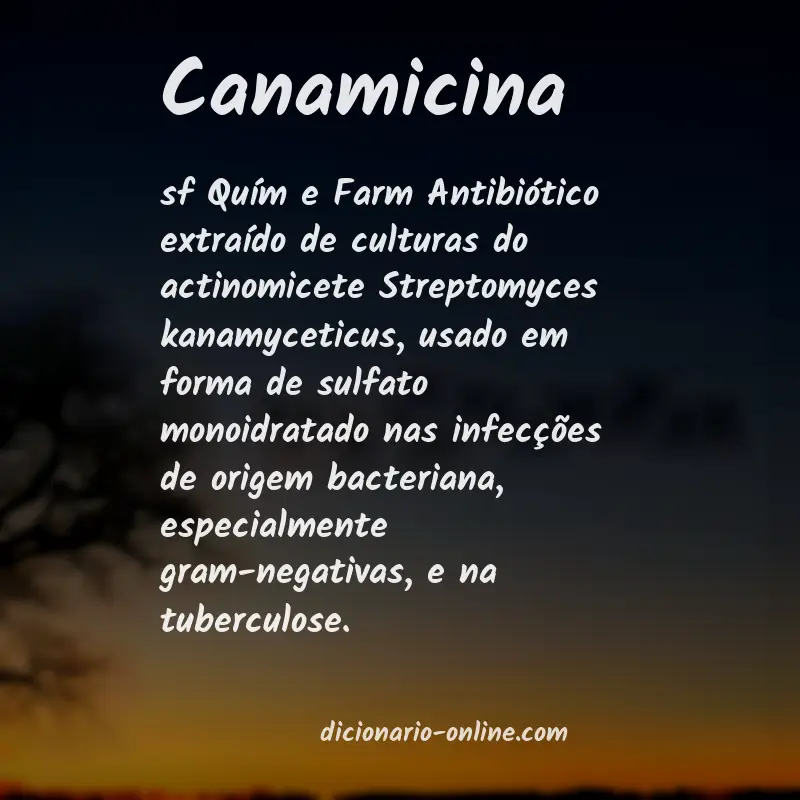 Significado de canamicina