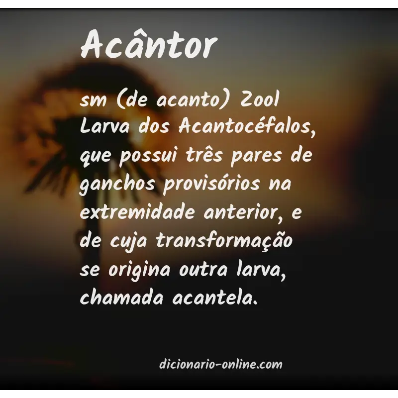 Significado de acântor