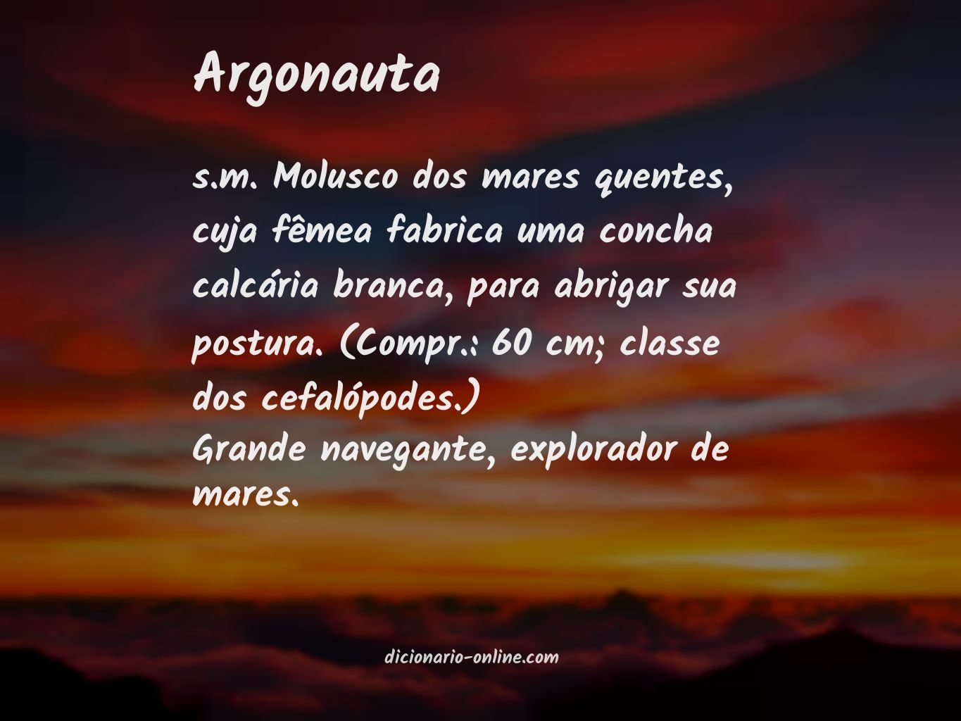 Significado de argonauta