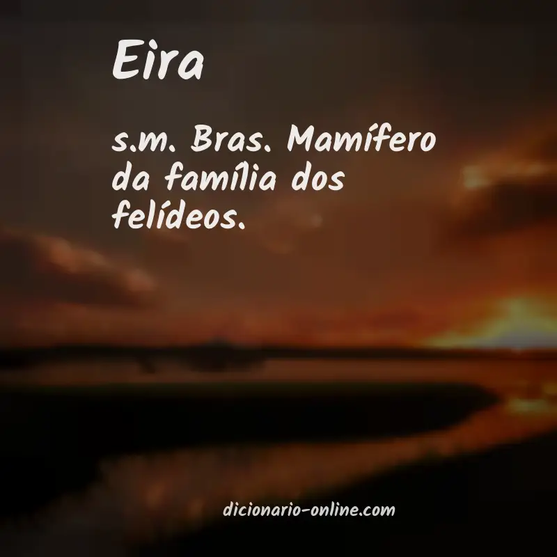 Significado de eira
