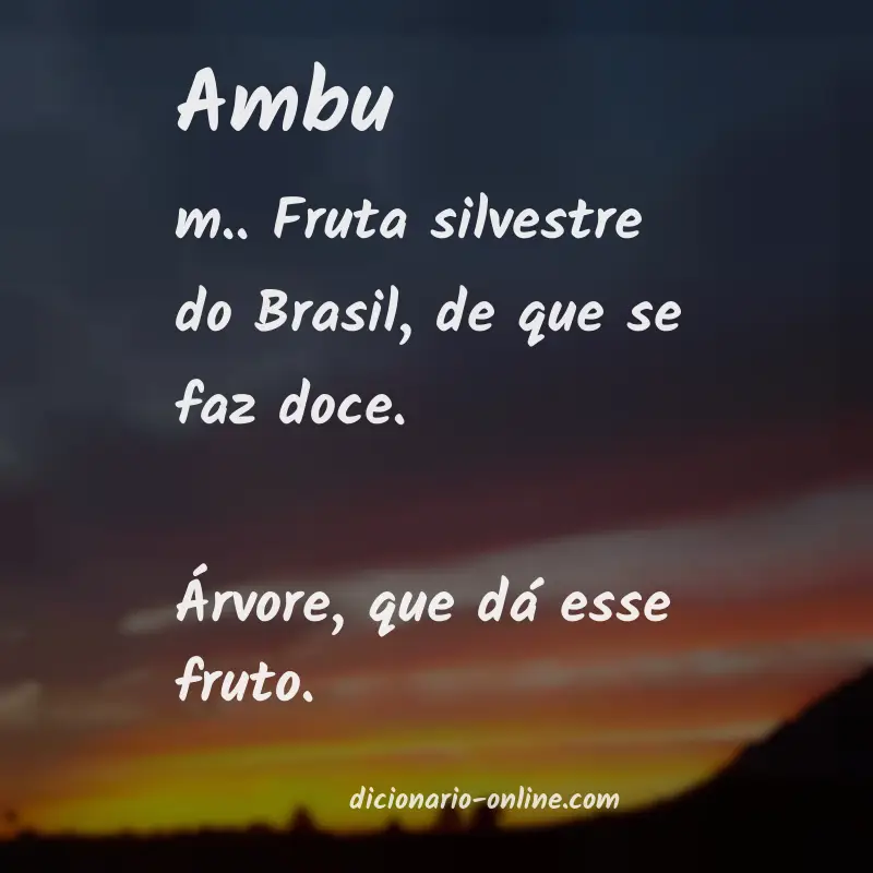 Significado de ambu