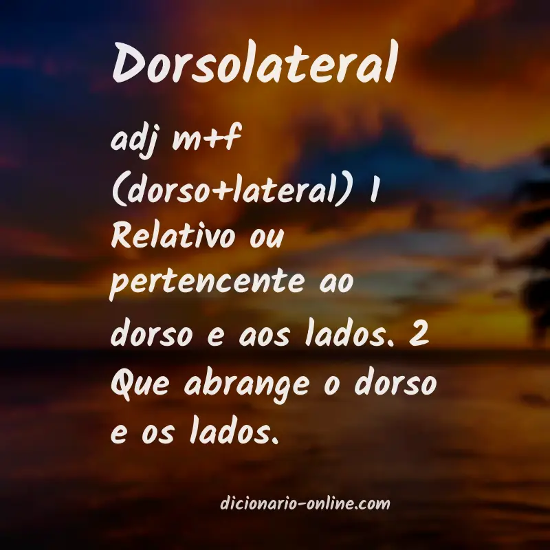 Significado de dorsolateral