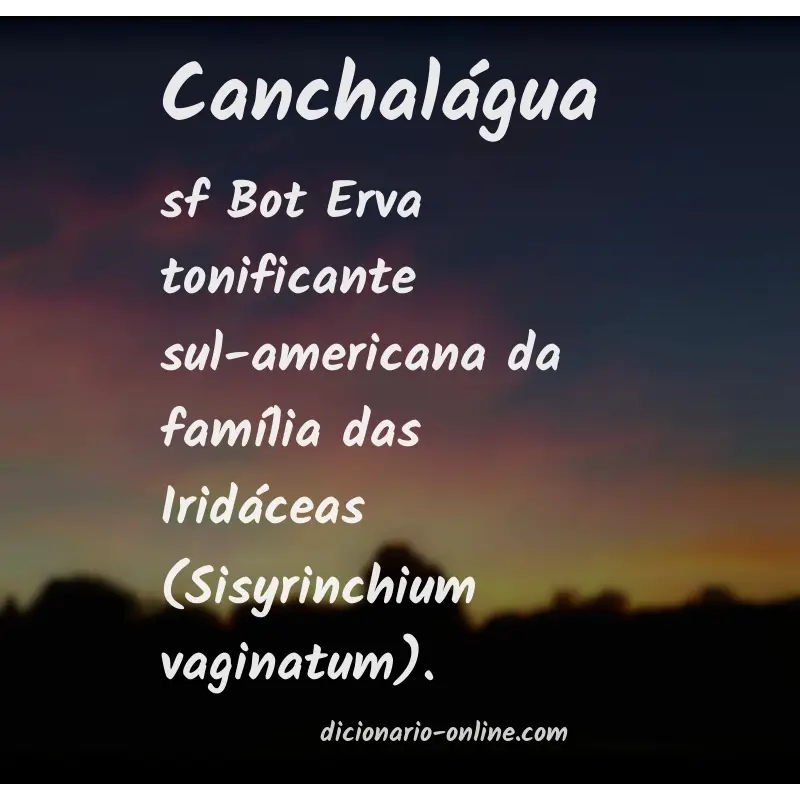 Significado de canchalágua