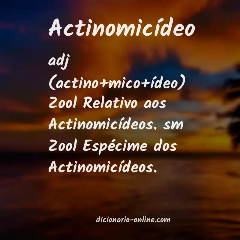 Significado de actinomicídeo