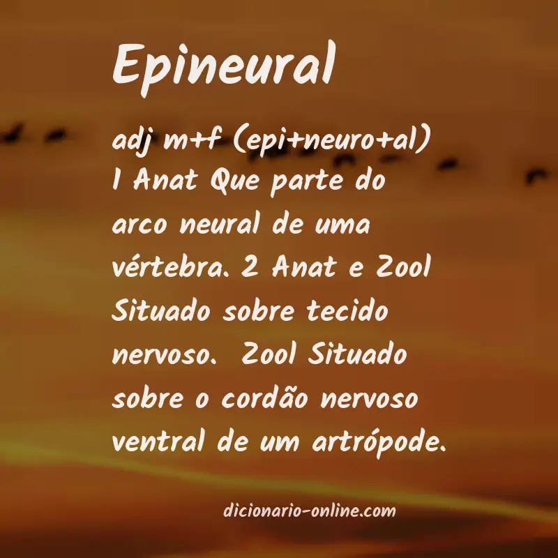 Significado de epineural