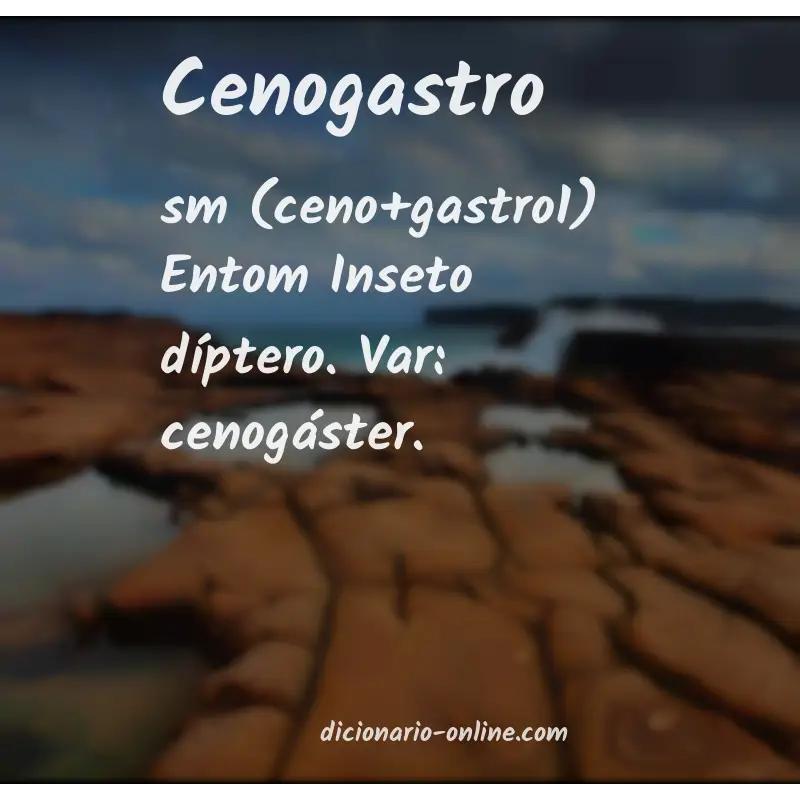 Significado de cenogastro