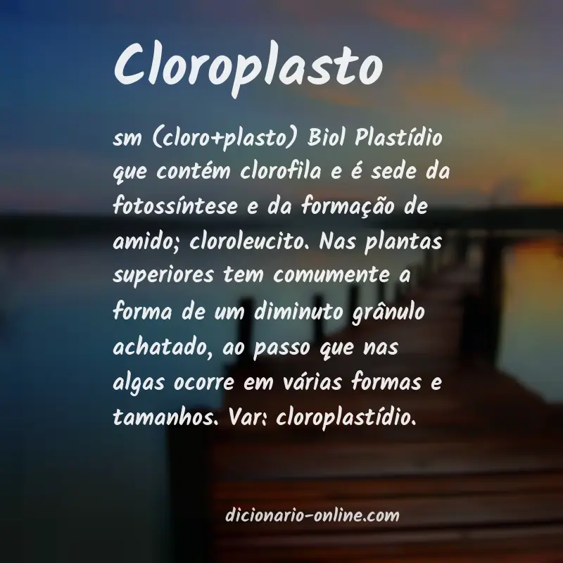 Significado de cloroplasto