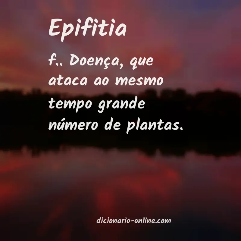 Significado de epifitia