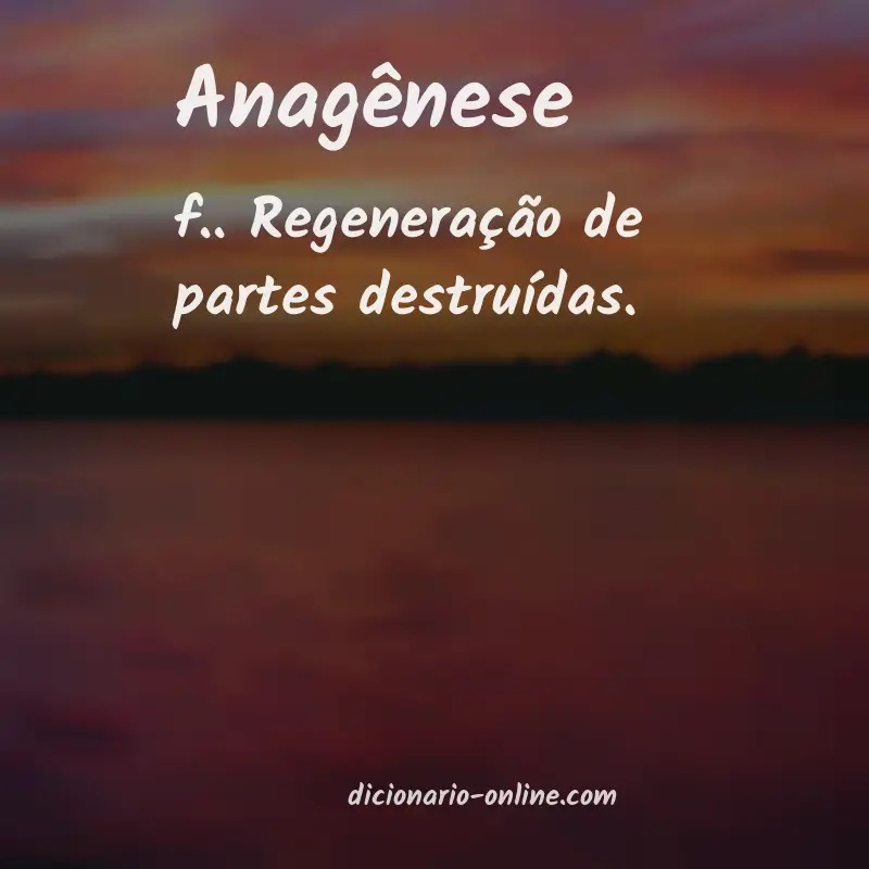Significado de anagênese