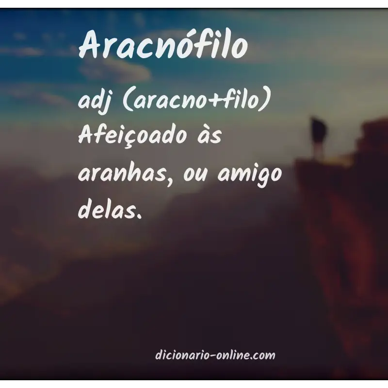 Significado de aracnófilo